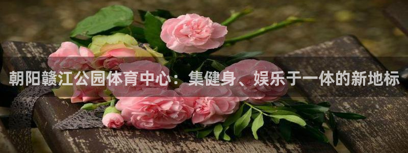 酷玩体育直播nba赛程：朝阳赣江公园体育中心：集健身、娱乐于一体的新地标