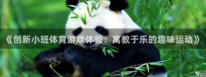 酷玩体育直播在线播放：《创新小班体育游戏体验：寓教于乐的趣味运动》