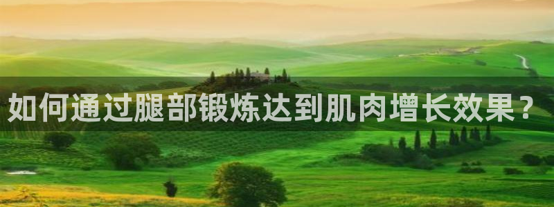 酷玩体育直播在线播放：如何通过腿部锻炼达到肌肉增长效果？