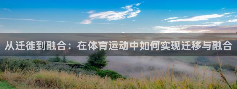 酷玩体育app：从迁徙到融合：在体育运动中如何实现迁移与融合