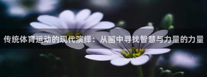 酷玩体育的东西是正品吗：传统体育运动的现代演绎：从画中寻找智慧与力量的力量